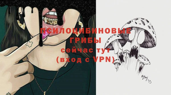 альфа пвп Карпинск