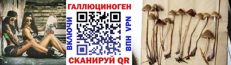 Галлюциногенные грибы GOLDEN TEACHER  Купить закладки  Лаишево 